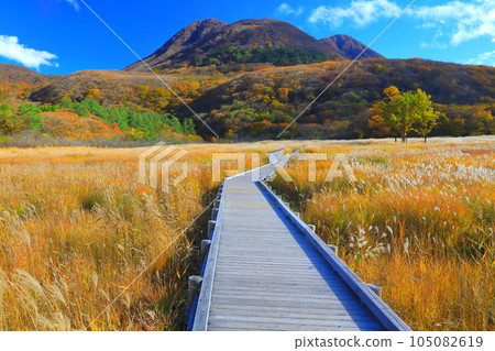 秋天的蓼原濕地和九重山脈（大分縣九重町） 105082619