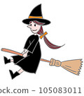 witch on a broom 105083011