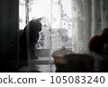 silhouette of a cat on the windowsill behind the curtain 105083240