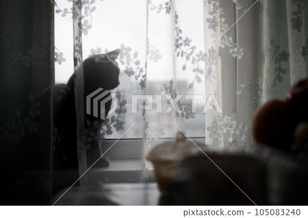 silhouette of a cat on the windowsill behind the curtain silhouette of a cat on the windowsill behind the curtain 105083240