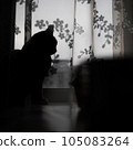 silhouette of a cat on the windowsill behind the curtain 105083264