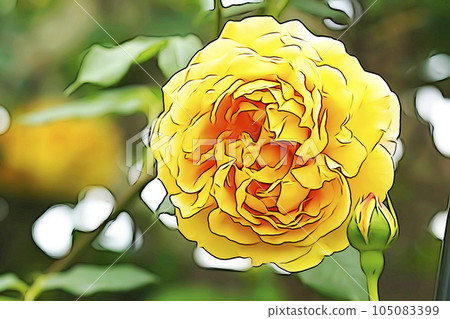 柔和的“盛開的玫瑰花和花蕾”插圖圖像 柔和的“盛開的玫瑰花和花蕾”插圖圖像 105083399