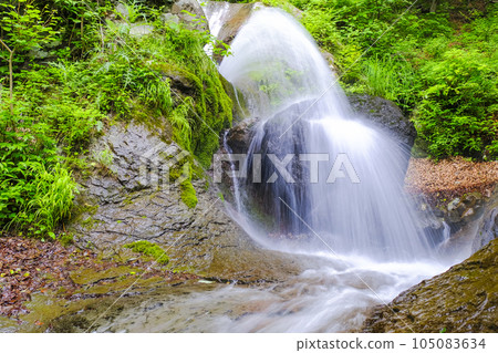 清新的綠色和少女瀑布 105083634