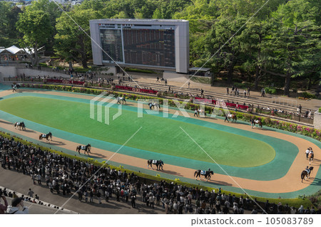 東京競馬場圍場 105083789