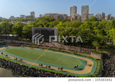 Tokyo Racecourse Paddock Tokyo Racecourse Paddock 105083842