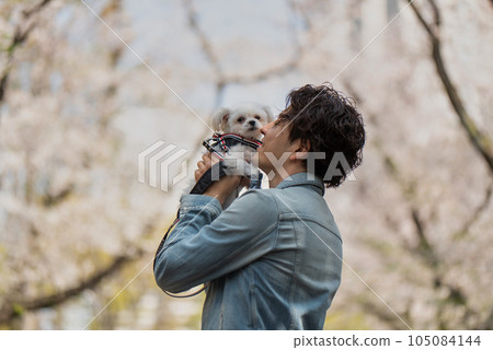 Man kissing his pet dog under the cherry blossom tree Man kissing his pet dog under the cherry blossom tree 105084144