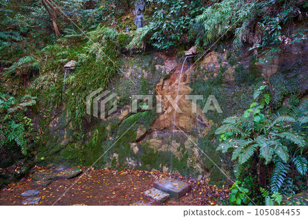 東京世田谷轟谷公園的不動瀑布 (Todoroki Fudoson) 秋天 105084455