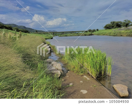 The Tonda River in summer, flowing through Gassan Toda Castle, Japan's No. 1 mountain castle The Tonda River in summer, flowing through Gassan Toda Castle, Japan's No. 1 mountain castle 105084930