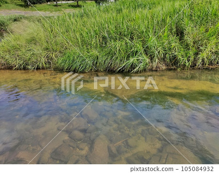 The Tonda River in summer, flowing through Gassan Toda Castle, Japan's No. 1 mountain castle The Tonda River in summer, flowing through Gassan Toda Castle, Japan's No. 1 mountain castle 105084932