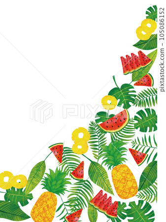 水彩觸摸熱帶樹葉和夏季水果背景框架 105086152