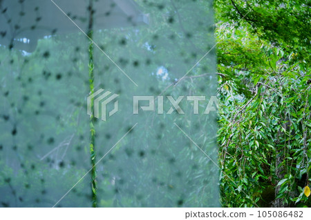 Summer porch / Komorebi see-through lace curtain Summer porch / Komorebi see-through lace curtain 105086482