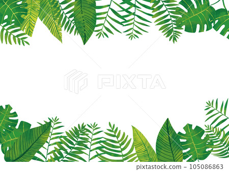 水彩觸感，熱帶樹葉，夏季框架 105086863