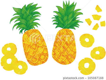 Watercolor touch pineapple set 105087188