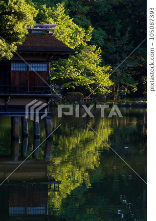 清晨的陽光下,站在兼六園霞池畔的內橋亭的風景 | 石川縣金澤市 清晨的陽光下,站在兼六園霞池畔的內橋亭的風景 | 石川縣金澤市 105087393