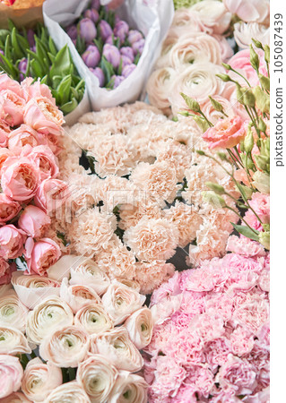 Many different colors. Showcase. Background of mix of flowers. Beautiful flowers for catalog or online store. Floral shop and delivery concept. Top view Many different colors. Showcase. Background of mix of flowers. Beautiful flowers for catalog or online store. Floral shop and delivery concept. Top view 105087439