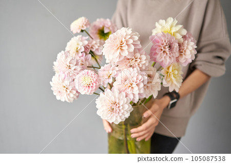 Mono bouquet of pink dahlias. Beautiful bouquet of flowers in womans hands. the work of the florist at a flower shop. Handsome fresh bouquet. Flowers delivery 105087538