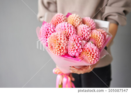 Mono bouquet of pink dahlias. Beautiful bouquet of flowers in womans hands. the work of the florist at a flower shop. Handsome fresh bouquet. Flowers delivery 105087547