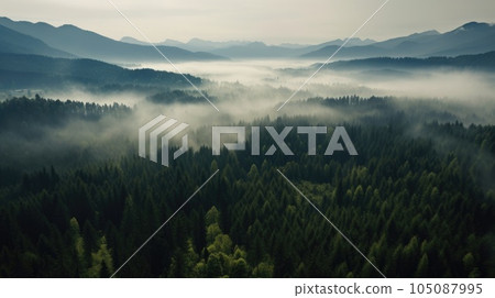 Misty foggy mountain landscape with forest. Generative AI Misty foggy mountain landscape with forest. Generative AI 105087995
