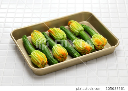 花西葫蘆 105088361