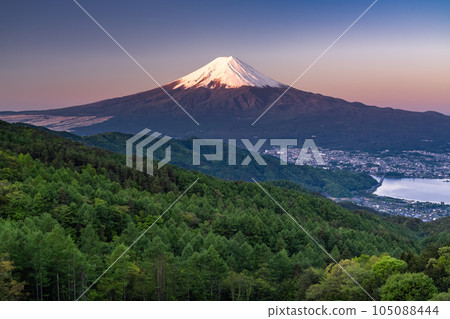 《Yamanashi Prefecture》Mt.Fuji in early summer, virgin forest of fresh green 105088444