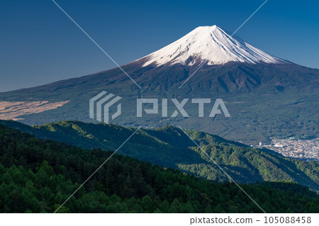 《Yamanashi Prefecture》Mt.Fuji in early summer, virgin forest of fresh green 105088458