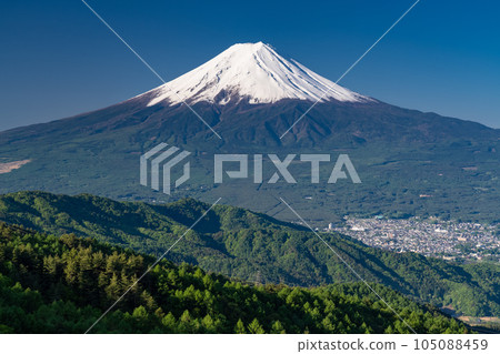 《Yamanashi Prefecture》Mt.Fuji in early summer, virgin forest of fresh green 105088459