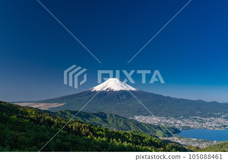 《Yamanashi Prefecture》Mt.Fuji in early summer, virgin forest of fresh green 105088461