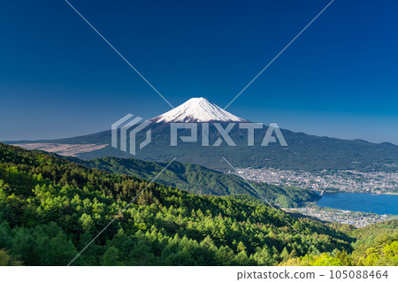 《Yamanashi Prefecture》Mt.Fuji in early summer, virgin forest of fresh green 《Yamanashi Prefecture》Mt.Fuji in early summer, virgin forest of fresh green 105088464