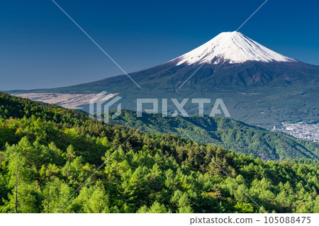 《Yamanashi Prefecture》Mt.Fuji in early summer, virgin forest of fresh green 《Yamanashi Prefecture》Mt.Fuji in early summer, virgin forest of fresh green 105088475
