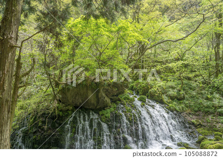 A number of waterfalls that flow down through gaps in large rocks 105088872