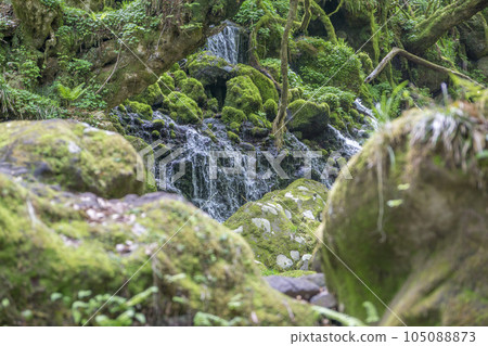 Melted snow flowing across many rocks Melted snow flowing across many rocks 105088873