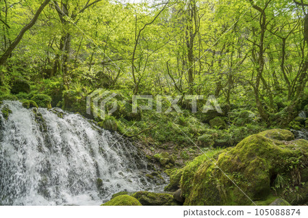 Melted snow overflowing in the fresh green scenery 105088874