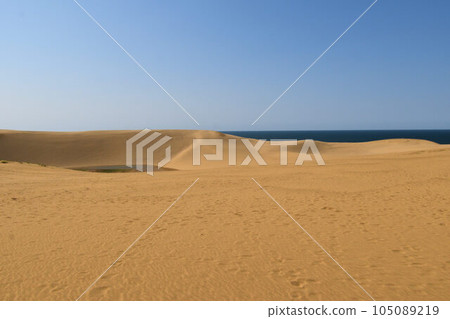 Tottori sand dunes image Tottori sand dunes image 105089219