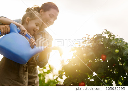 mother and daughter gardening in the backyard mother and daughter gardening in the backyard 105089295