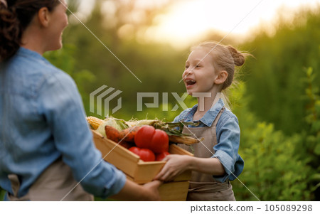 mother and daughter gardening in the backyard mother and daughter gardening in the backyard 105089298
