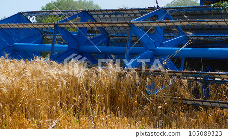 The mower of the combine harvester harvests the wheat crop. Close-up of the mower The mower of the combine harvester harvests the wheat crop. Close-up of the mower 105089323