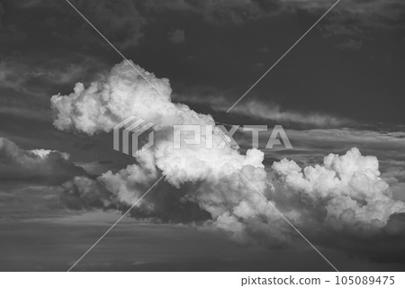 夏季傍晚天空中升起陰影的積雨雲 c-5 單色 105089475