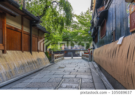 京都白川南通（祗園白河）辰巳橋新綠季節 105089637