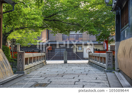 Kyoto Shirakawa Minamidori (Gion Shirakawa) Tatsumi Bridge Fresh green season Kyoto Shirakawa Minamidori (Gion Shirakawa) Tatsumi Bridge Fresh green season 105089644
