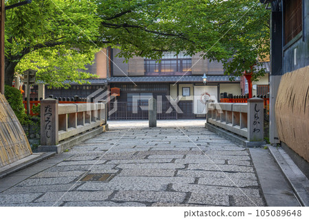 京都白川南通（祗園白河）辰巳橋新綠季節 105089648