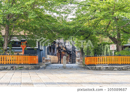 Kyoto, Gion Shirakawa, Tatsumi Bridge in the early morning, the season of fresh greenery 105089687