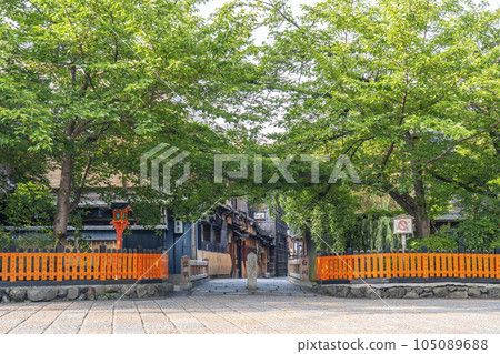 京都，只園白河，清晨的辰巳橋，新綠的季節 105089688