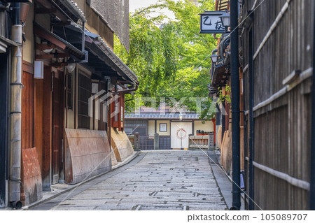 Kyoto/Gion Shirakawa Tatsumi Bridge Fresh green season Kyoto/Gion Shirakawa Tatsumi Bridge Fresh green season 105089707
