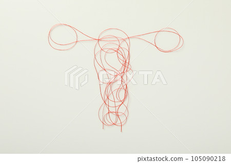Silhouette of female internal genitals on a white background 105090218