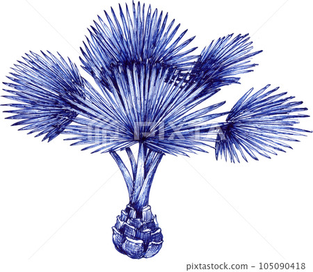 Blue tropical jungle element plant png Blue tropical jungle element plant png 105090418