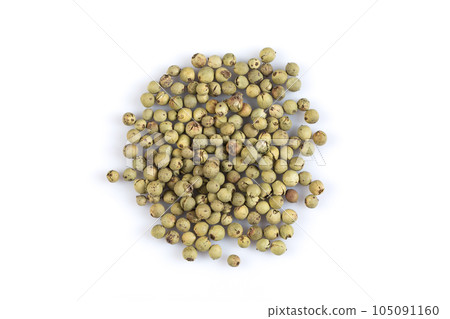 green pepper isolated on white background green pepper isolated on white background 105091160