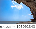 Onigajo: The rocky surface and coast seen from the promenade 105091343