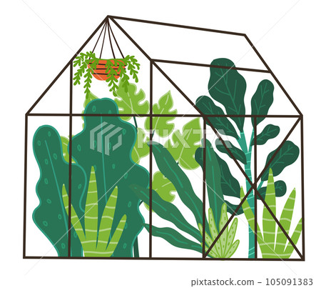 Orangery with green plants and botany leafage 105091383