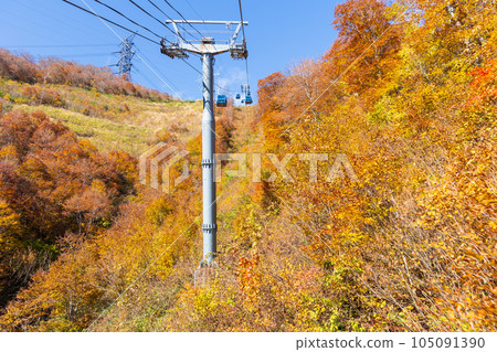 Yuzawa Town, Niigata A walk in the air with a spectacular view Naeba Dragon Dora in autumn colors Yuzawa Town, Niigata A walk in the air with a spectacular view Naeba Dragon Dora in autumn colors 105091390