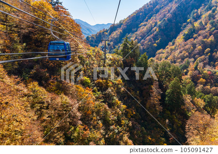 新潟縣湯澤町 空中漫步,欣賞秋日苗場龍多拉的壯麗景色 新潟縣湯澤町 空中漫步,欣賞秋日苗場龍多拉的壯麗景色 105091427